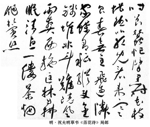 ף�����ݕ����仨Ԋ���ֲ�